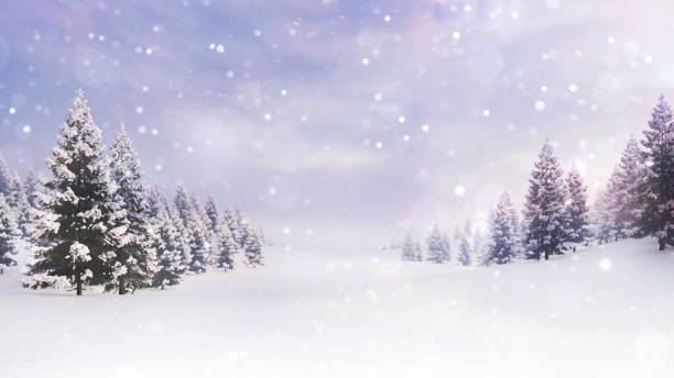 istock White spacious landscape with snow covered plain and forest at snowfall 1183150356