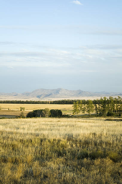 istock Landscape with grass, meadow, trees, hills, mountain and cloudy 118315148