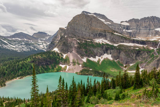 istock Grinnell Lake in Summer 1183152097