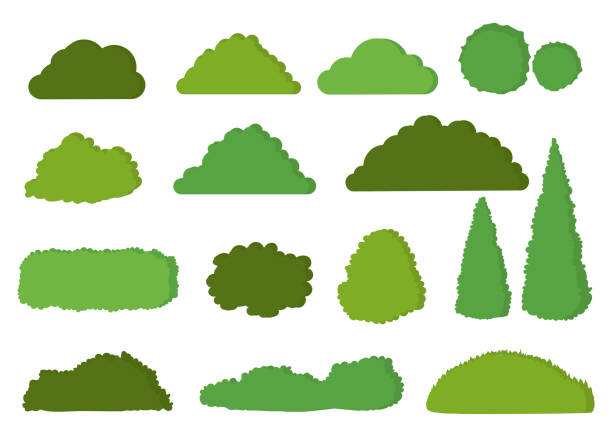 grüne büsche vektor-symbol-set isoliert auf weißem hintergrund - strauch stock-grafiken, -clipart, -cartoons und -symbole