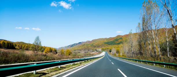 istock Asphalt highway in autumn forest 1183157351