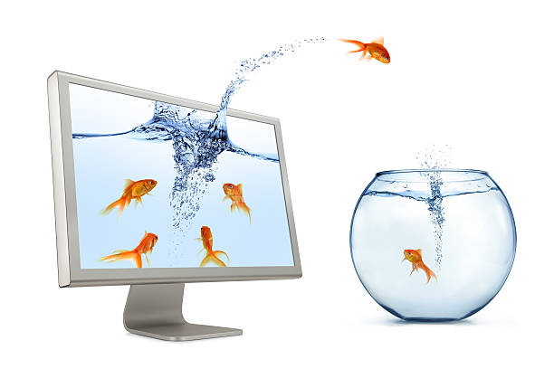 istock Goldfish Jumping Out Of Screen 118315936