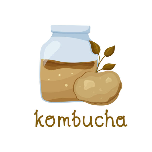 Color poster with glass jar with floating tea mushroom, tea leaves and text kombucha Cartoon hand drawn vector illustration. Color poster with glass jar with floating tea mushroom, tea leaves and text kombucha. Flat food concept kombucha jar stock illustrations