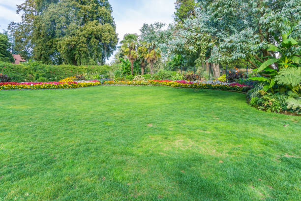 istock Park Lawn And Garden 1183164718