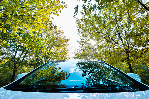 Car driving through the autumn woods