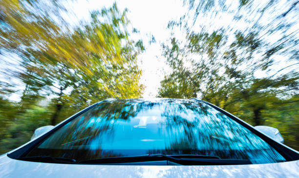 Car driving through the autumn woods