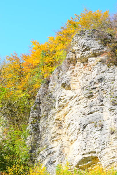 istock huge limestone cliff with autumn trees 1183167029