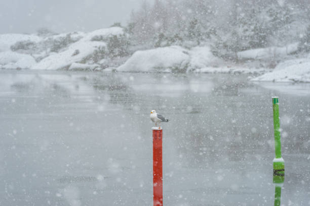 Gothenburg coastline in winter. Seamarks in the canal.