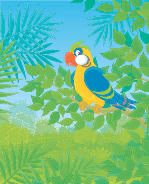 ilustrações, clipart, desenhos animados e ícones de papagaio engraçado em uma filial - parrot multi colored bird perching