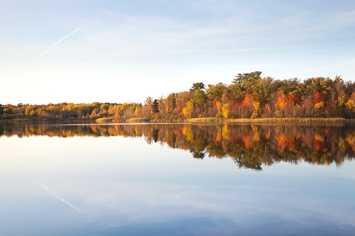 Colorful treeline on calm northern Minnesota lake  at sundown during autumn