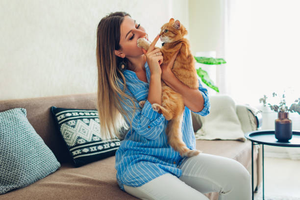 istock Playing with cat at home. Young woman sitting on couch teasing and hugging pet. 1183175979