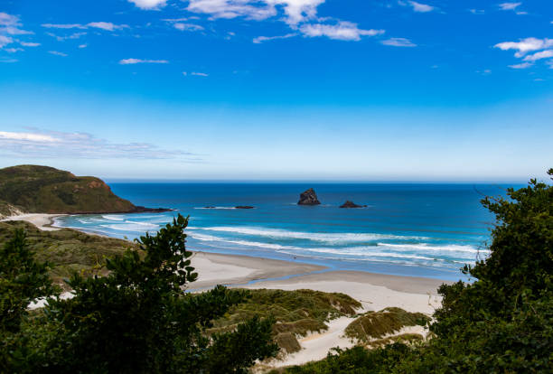 istock Beautiful Sandy Beach in New Zealand 1183177687