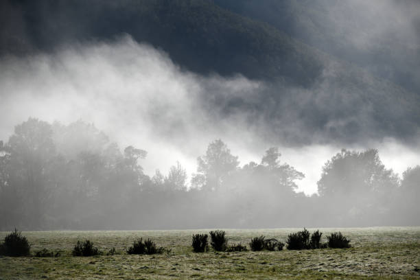istock misty morning on the farm 1183178338