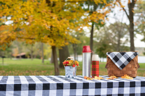 Stylish fall picnic table setting Stylishly decorated picnic table on a fall day at the lake fall picnic table stock pictures, royalty-free photos & images