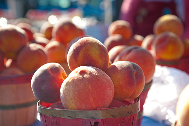 istock Basket of peaches with morning sunlight. 118318258
