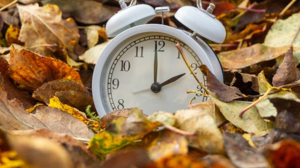 istock clock with leaves, wintertime concept 1183182719