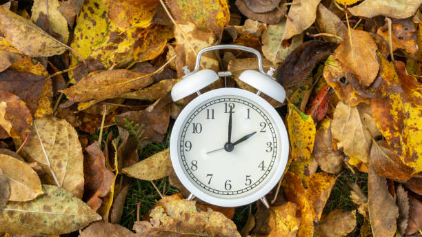 istock clock with leaves, wintertime concept 1183182742