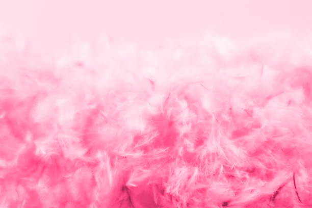 istock Beautiful abstract blue and purple feathers frame on darkness background and colorful soft white pink feather portrait frame texture 1183182948