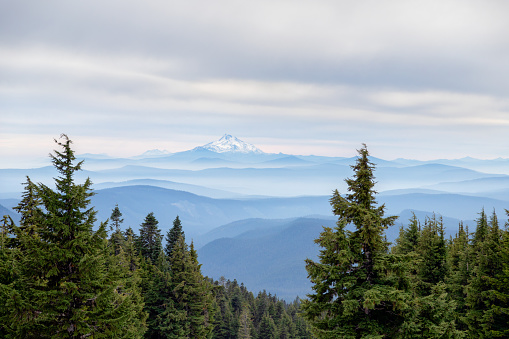 View of Mt. Jefferson from Mt. Hood with beautiful layers of misty mountains in between in Oregon, USA