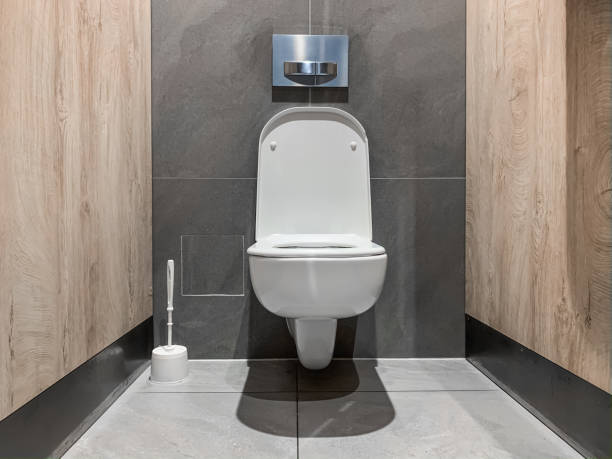 istock several toilets in a public place.  restroom. 1183184740