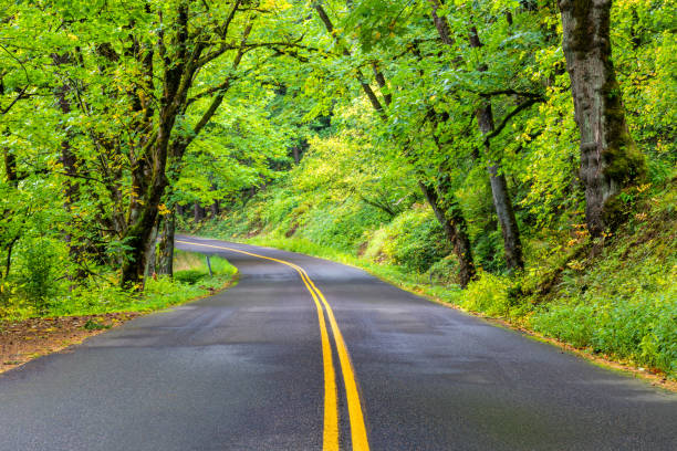 米国オレゴン州コロンビア川渓谷風光明媚なバイウェイハイウェイ沿いの曲がりくねった道のいぼのストレッチ - columbia oregon ストックフォトと画像