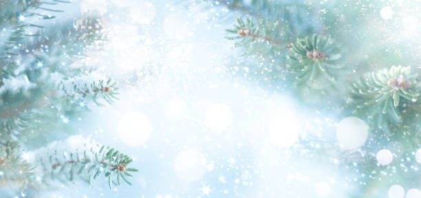 istock Christmas fir tree branches on blurred blue background. 1183191051
