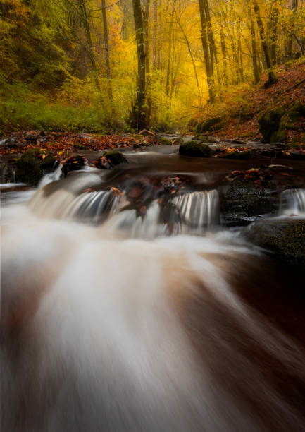istock Small waterfall and autumn colours in Germany 1183192960