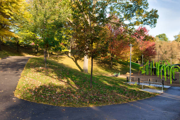 istock Autumn Leaves in the Park 1183193994