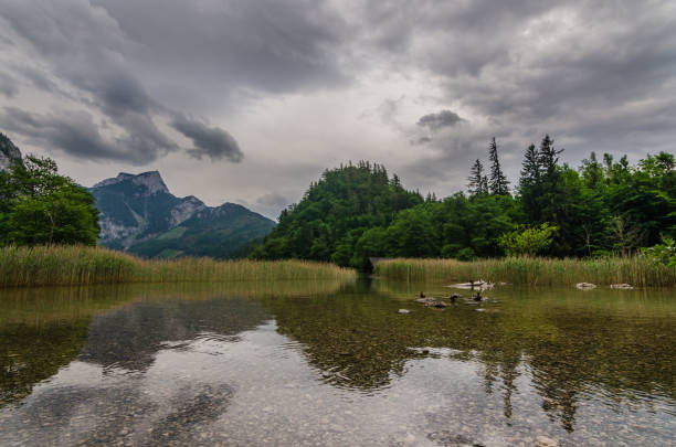 istock shallow water at the lake 1183197984