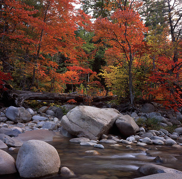 istock Autumn in New Hampshire 118320263