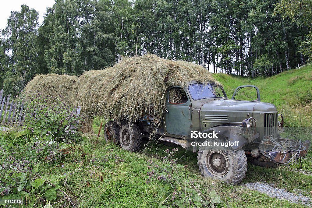 O old caminhão com hay - Foto de stock de Aldeia royalty-free