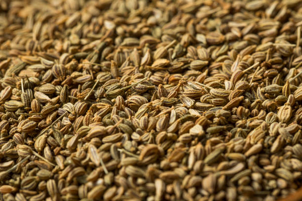 istock Raw Brown Organic  Ajwain Seed 1183212303