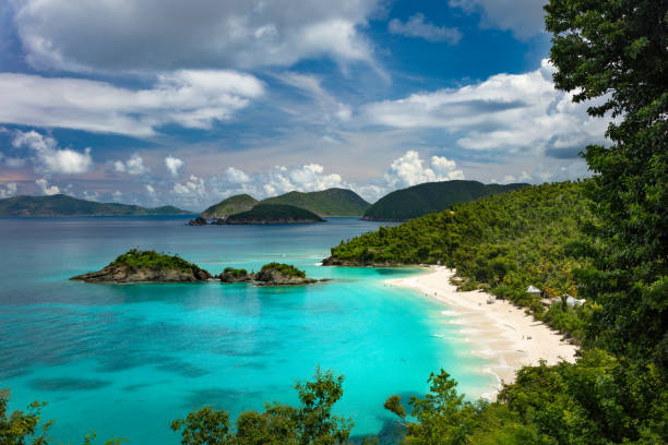 istock The overlook at Trunk Bay Beach, St. John 1183214202