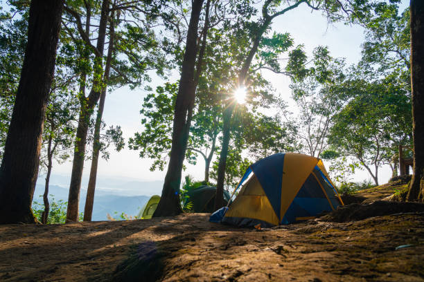 istock Camping tent on the grass 1183214997