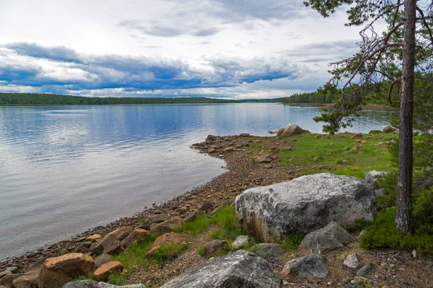 The shore of the White Sea. The littoral zone is almost completely flooded with water. Kandalaksha Gulf, Karelia, Russia, end of June.