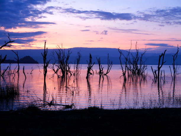 istock Lake Nakuru National Park 1183215358