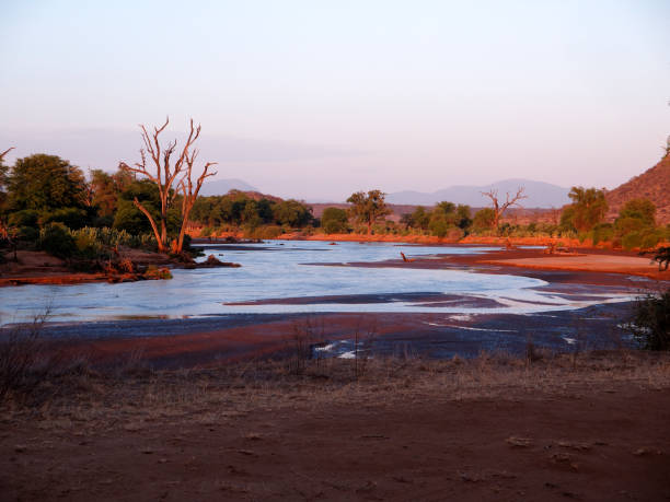 istock Samburu National Reserve, Kenya 1183215388