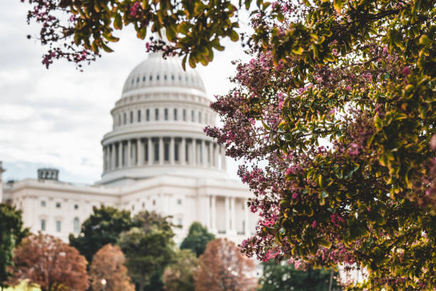 istock The US Capitol in Washington DC, in autumn time 1183216875