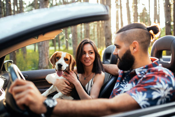 istock Our friend for life 1183217076