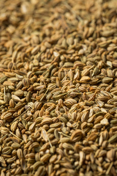istock Raw Brown Organic  Ajwain Seed 1183217225