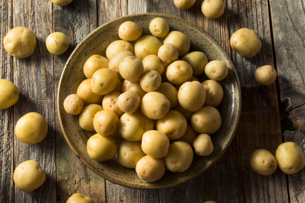 istock Organic White Baby Potatoes 1183219324