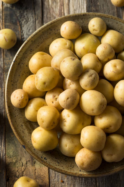 istock Organic White Baby Potatoes 1183220837