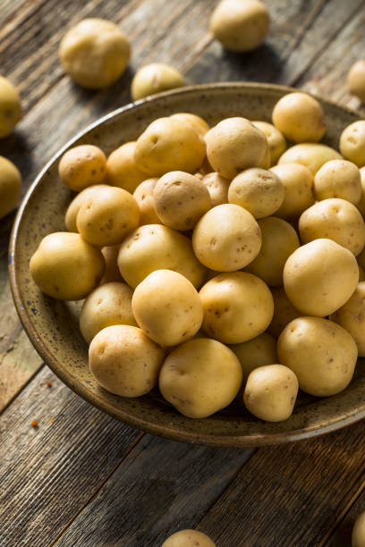 istock Organic White Baby Potatoes 1183221608