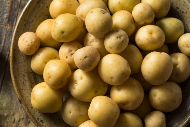 istock Organic White Baby Potatoes 1183221657