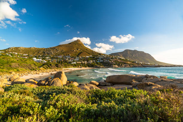 istock Turquoise beach and rocks in Cape Town 1183222291