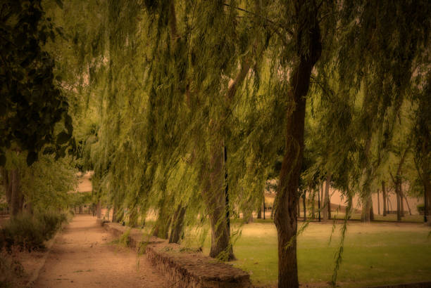 Loneliness park autumn, melancholic concept