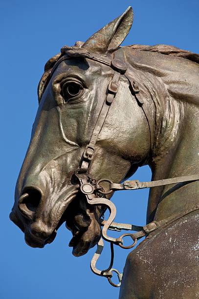 istock Close up of horse 118322390