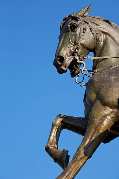 istock Front part of horse 118322397