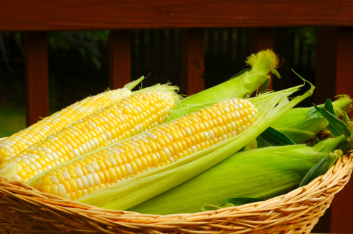 Close-up of fresh sweet corn