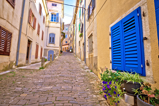 Motovun. Paved colorful street of old town of Motovun, Istria region of Croatia